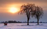 Two Trees At Sunrise_13535